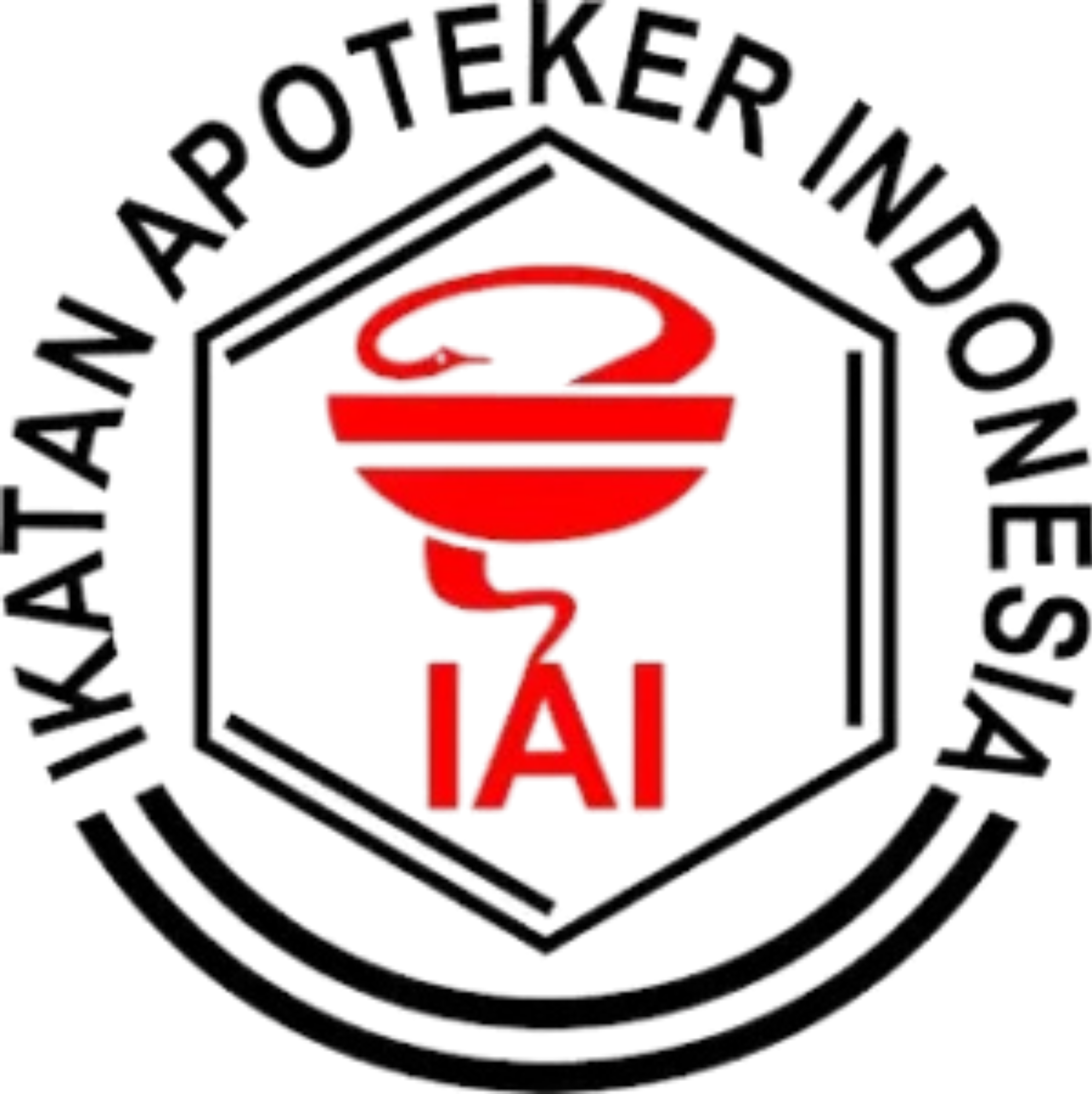 Logo IAI